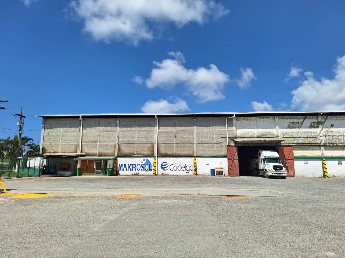 Vista frontal de la bodega de Fertica y sus accesos de carga