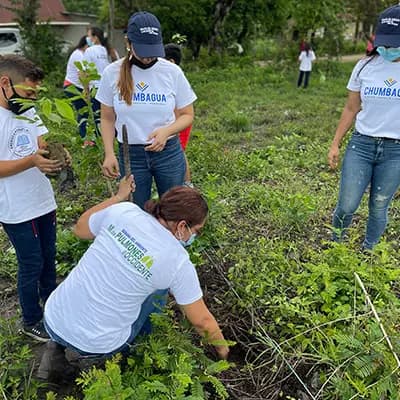 Voluntarias de Chumbagua sembrando árboles