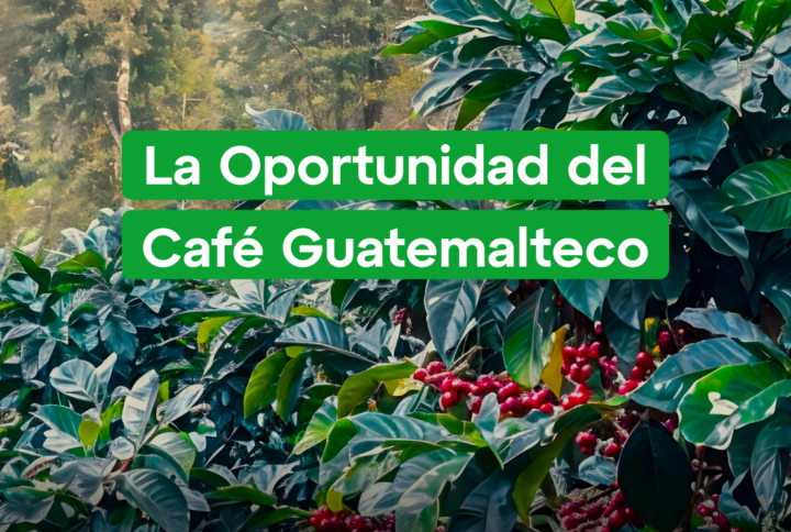 Café Guatemalteco