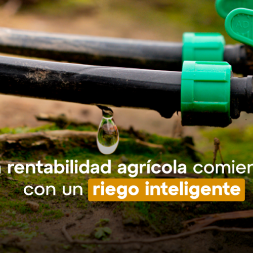 ¿Cuánto dinero pierdes por no usar cinta de riego?