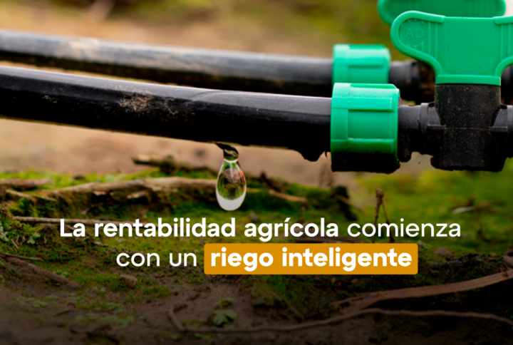 Rentabilidad Agrícola