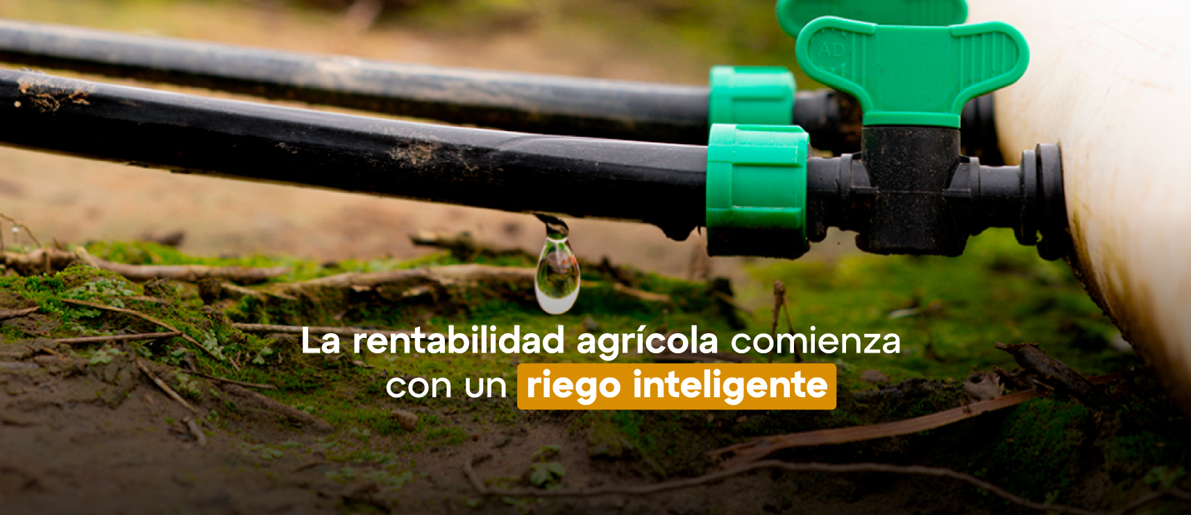 Rentabilidad Agrícola