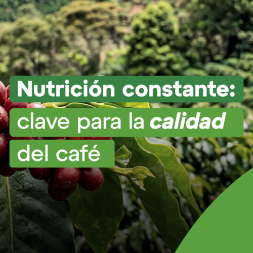 Café de mayor calidad con Fastrac