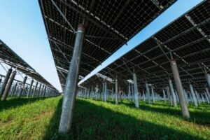 lush-solar-farm-with-panels-in-verdant-field-2026-03-24-23-57-25-utc 1-convertido-a-mediano
